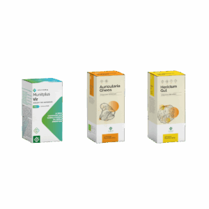Micoterapia Gheos en otoño con Munitplus Vir, Auricularia y Hericium Gut para reforzar defensas e inmunidad