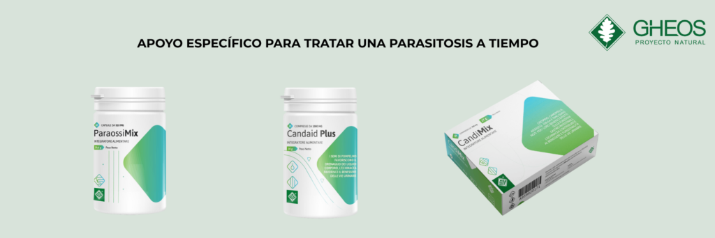 Productos Gheos para tratar una parasitosis a tiempo: ParaossiMix, Candaid Plus y CandiMix.