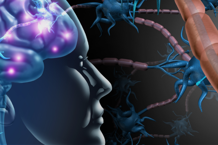 nervio vago y eje intestino cerebro según la teoría polivagal