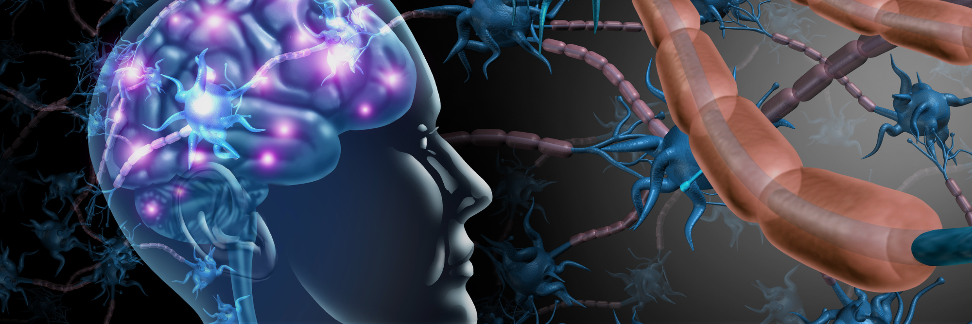 nervio vago y eje intestino cerebro según la teoría polivagal